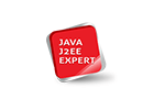 Java J2EE Expert